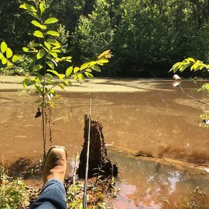 Meet your Posher, Herbert